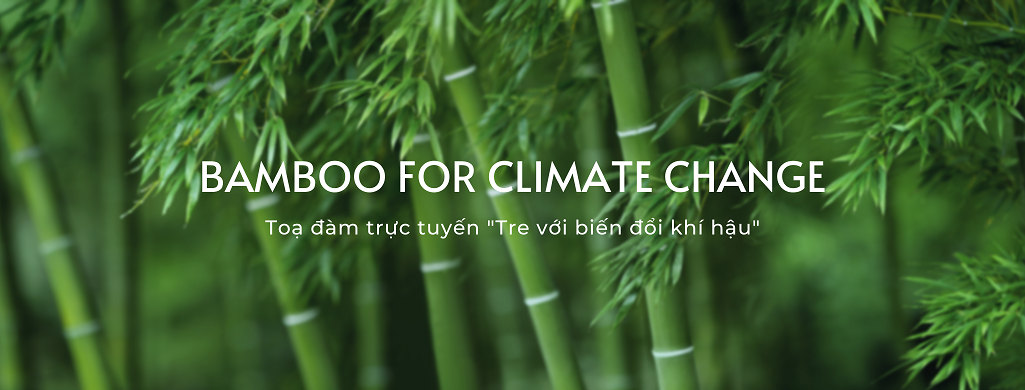 Tọa đàm liên kết quốc tế trực tuyến đầu tiên với chủ đề “Tre với Biến đổi khí hậu”