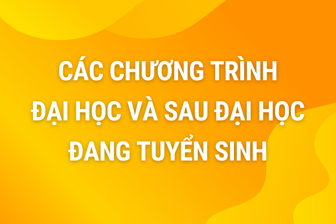 Các chương trình đang tuyển sinh năm 2024