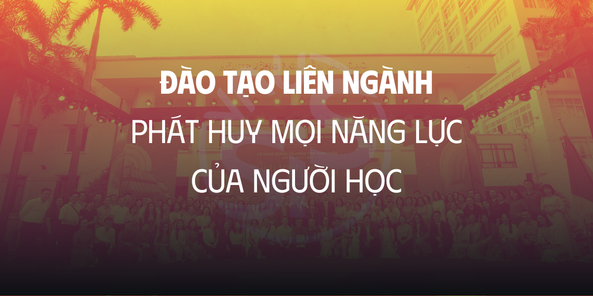 Ảnh bài viết